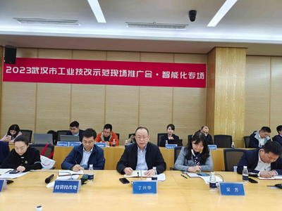 武汉市经济和信息化局 互联网信息咨询引领数字化新未来