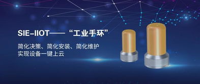 赛意信息携工业互联网示范线亮相工业互联网峰会，以数字化力量助推中国智造升级转型